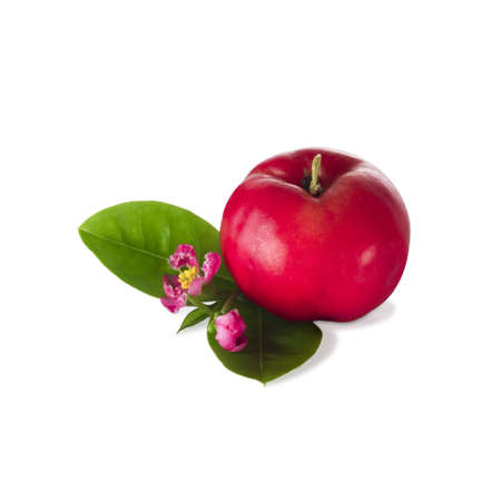 Brazilian cherry/acerolaの写真素材