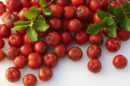 acerola の写真素材