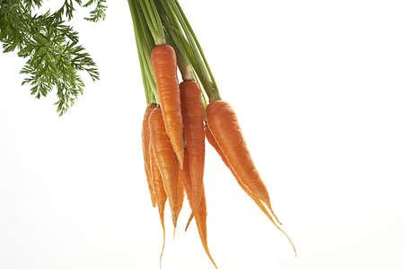 bundle of carrots on white background with details of foliageの写真素材