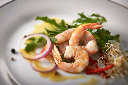 prawn saladの写真素材