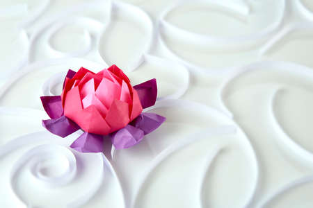 Origami lotus floerの写真素材