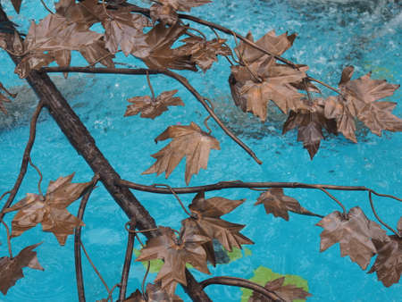 Fragment of the fountain in the city of Parkの写真素材
