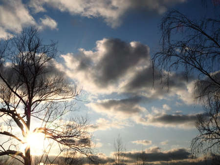 Evening sky with sun rays and trees with no leaves in winterの写真素材