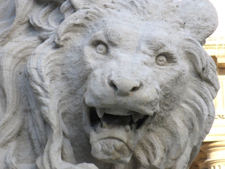 Lion faceの写真素材