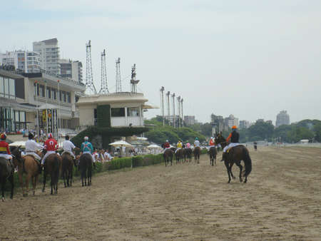 After horse-race のeditorial素材
