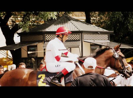 Jockey (open door exhibition)のeditorial素材
