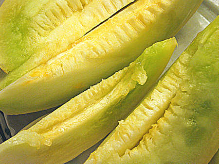 Melon slices  HDR の写真素材