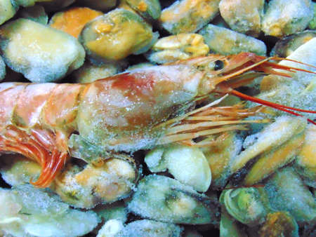 Frozen seafood with a squid, a shrimp, clams and musselsの写真素材