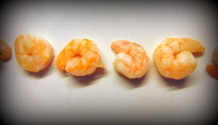 fresh shrimps in a rowの写真素材