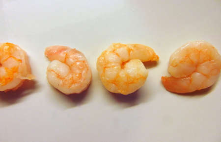 fresh shrimps in a rowの写真素材
