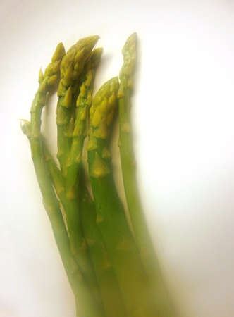 boiled asparagus in porcelain plateの写真素材
