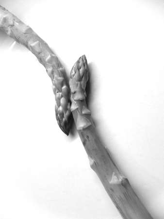 uncooked asparagus in porcelain plateの写真素材