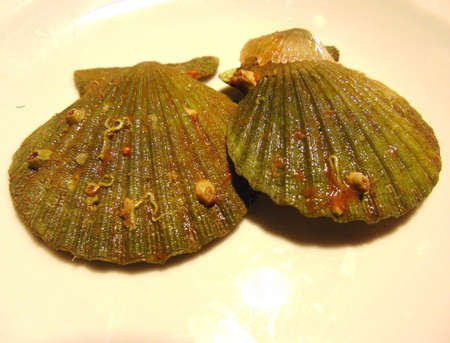 empty half seashells closeup photoの写真素材