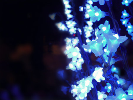 The Christmas lightsの写真素材
