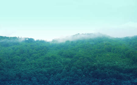 the photo of mountain landscapeの写真素材