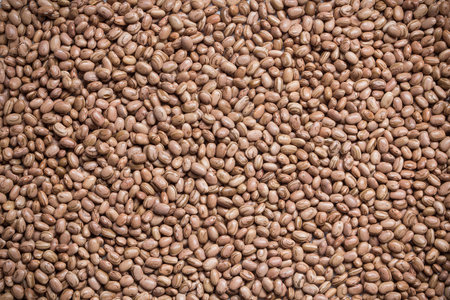 Texture of beans