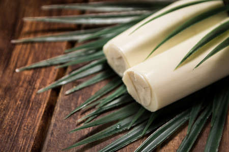 Palmetto is a ingredient extracted from the acai palm treeの写真素材