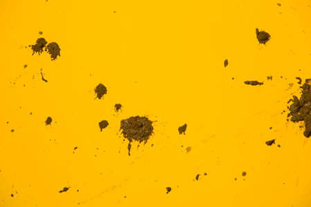 Texture clay moving in yellow backgroundの写真素材