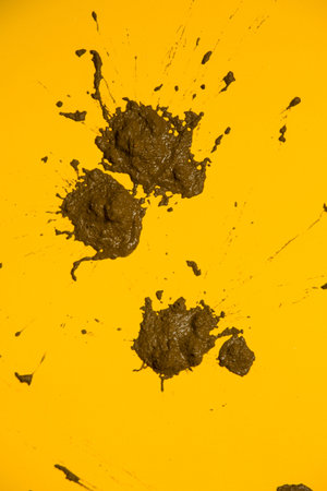 Business woman posing on white backgroundの写真素材