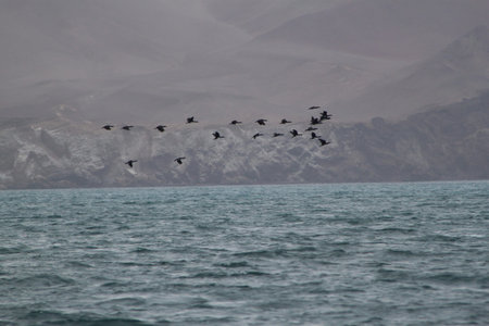 oceanrio of Lisbonの写真素材