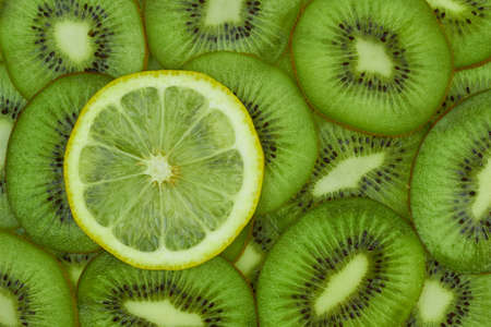 One lemon slice on kiwi backgroundの写真素材
