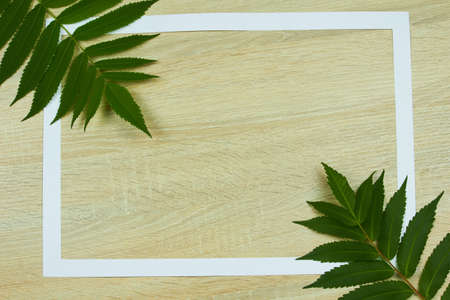 A few green branches of vinegar tree on a wooden background with space for text, top view, flat lay.の写真素材