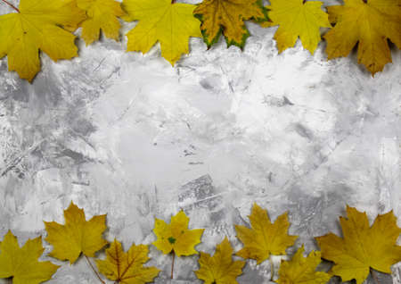 Autumn fallen yellow maple leaves on a gray marble background with copy space for text. Autumn mood concept.の写真素材