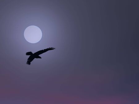 Eagle flying beneath a foggy sun.の写真素材