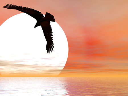 Eagle descending in front of giant sunの写真素材