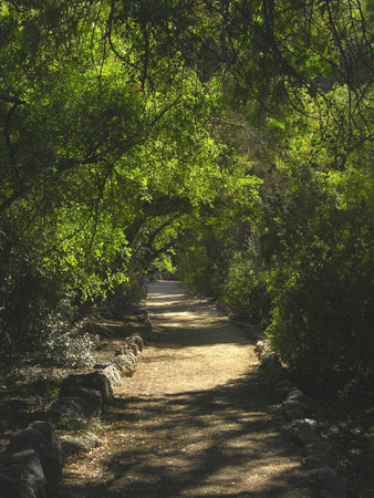 Desert valley trailの写真素材