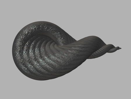 Isolated sea shellの写真素材