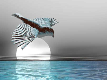 Icy bird above the seaの写真素材