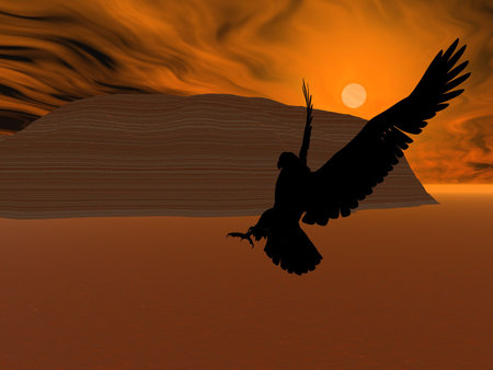 Eagle at sundownの写真素材