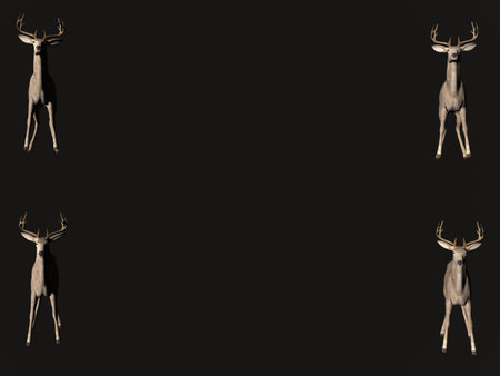 Deer on black - isolate, copy spaceの写真素材