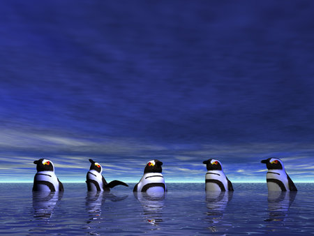 Penguins taking a cool dipの写真素材