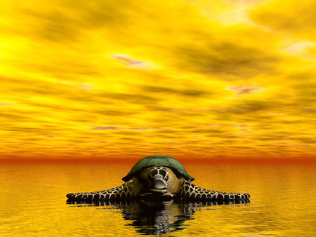 A Sea turtle resting on the sea