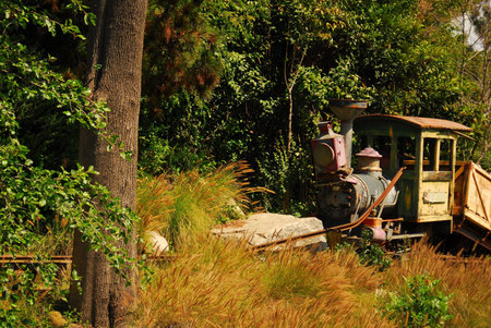 Old wrecked steam train