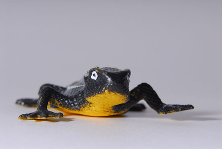 Isolated Macro of a toy frogの写真素材
