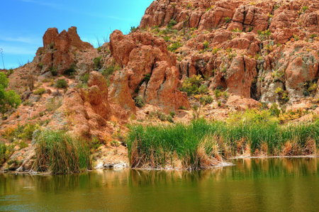 Early morning at an Arizona Desert Pondの写真素材