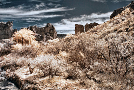 Oasis in the desert mountainsの写真素材