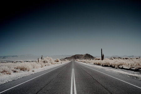 Moonlight desert road with saguaro cactus in the distanceの写真素材