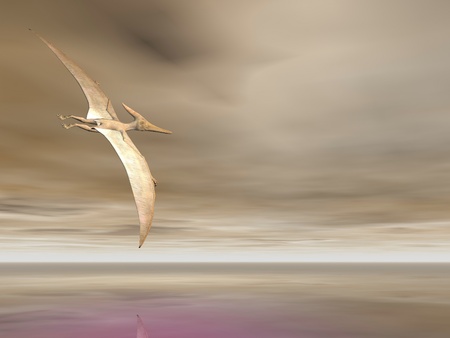 Pterodactyl or Pteranodon flying over the oceanの写真素材