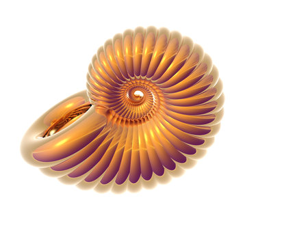 3D Illustration of a golden sea shellの写真素材