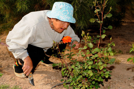 A Senior woman tending to a garden