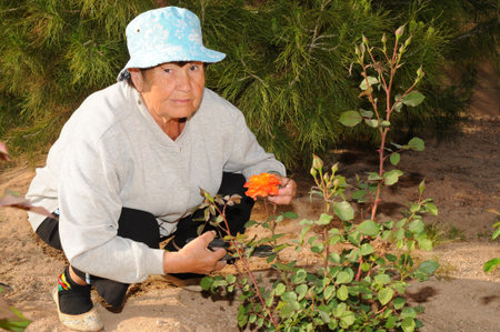 A Senior woman tending to a garden