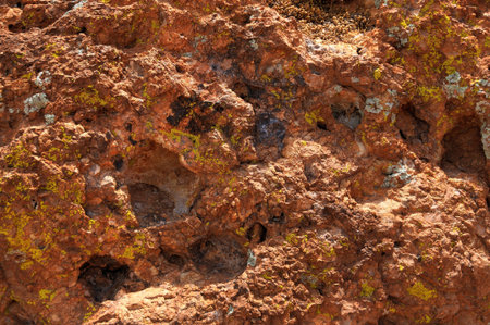 Very rough and granular rock textureの写真素材