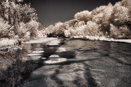 Fall at Oak Creek near Sedona Arizonaの写真素材