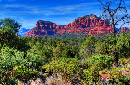 Sedona Arizona red rock country landscapeの写真素材