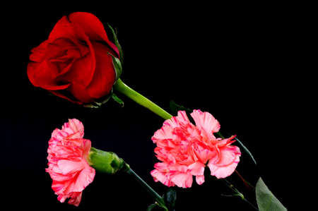 Floral arrangement isolated over a black backgroundの写真素材