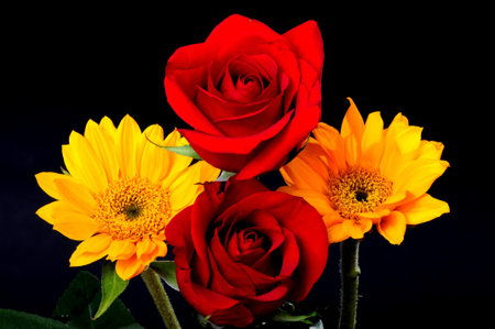 Floral arrangement isolated over a black backgroundの写真素材